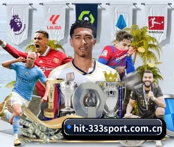 hit-333sport.com.cn APP